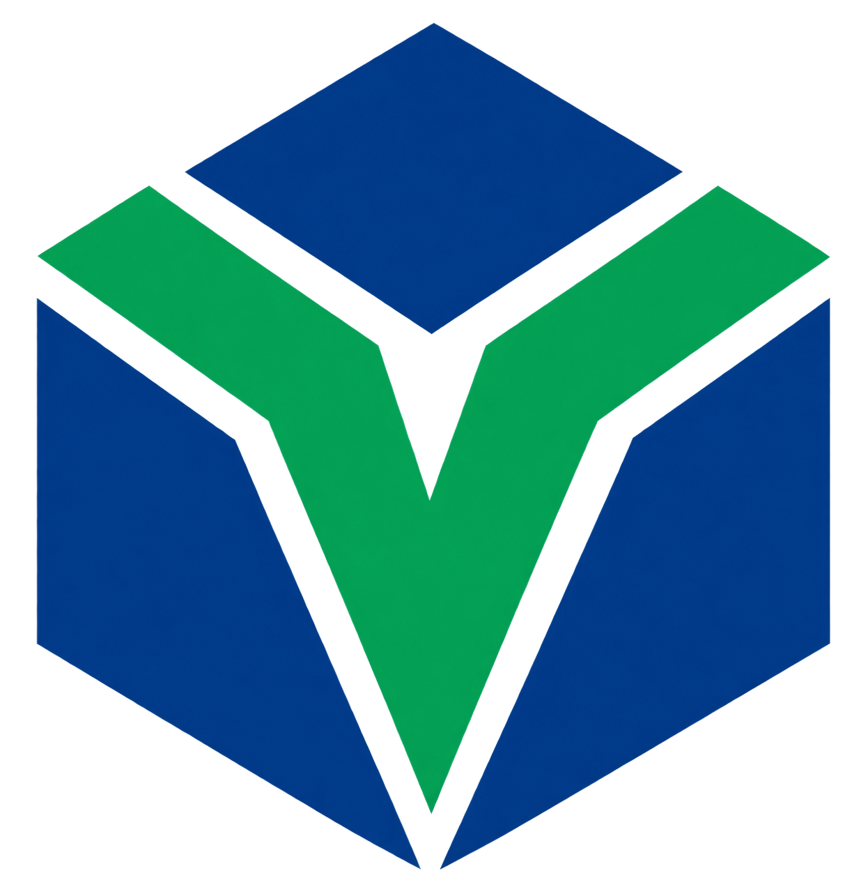 VTM logo
